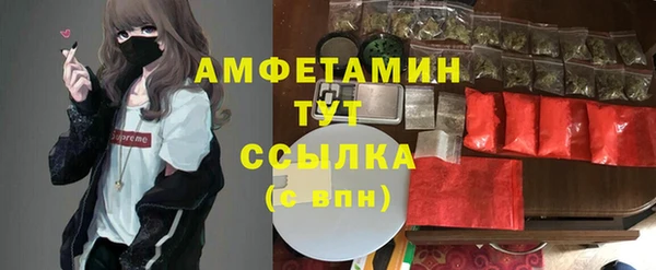 первитин Богородицк