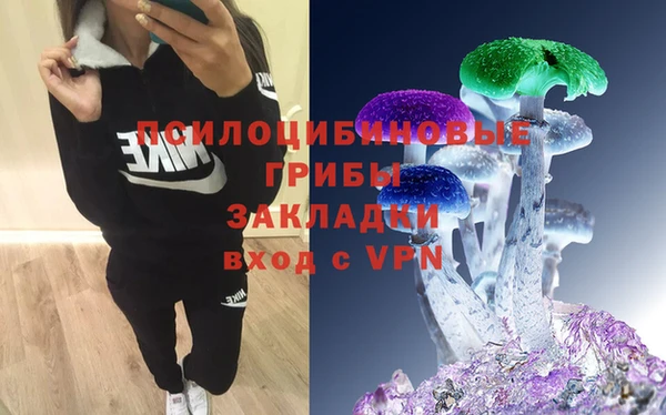 первитин Богородицк