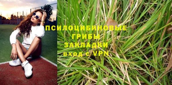 первитин Богородицк