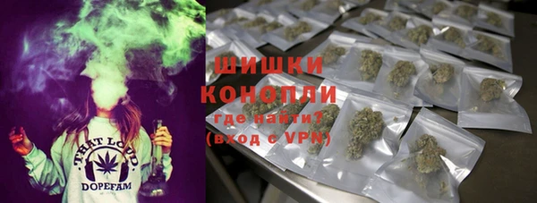 первитин Богородицк