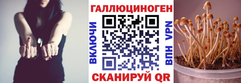 Псилоцибиновые грибы прущие грибы  дарнет шоп  Обь 